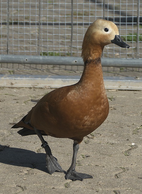 不仅能够为