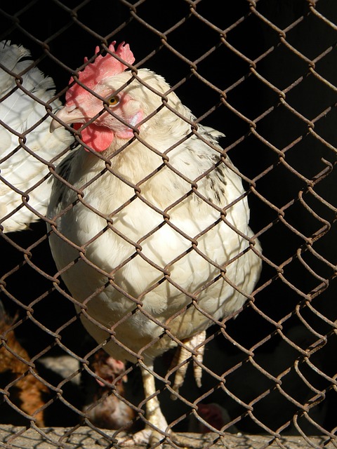 系统性的职 系统性的职