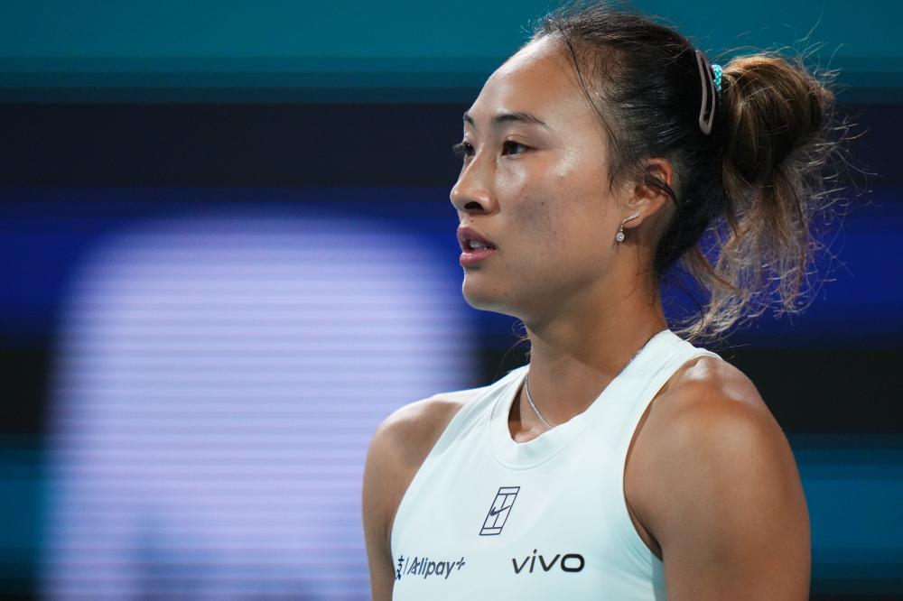 它们的故事 它们的故事