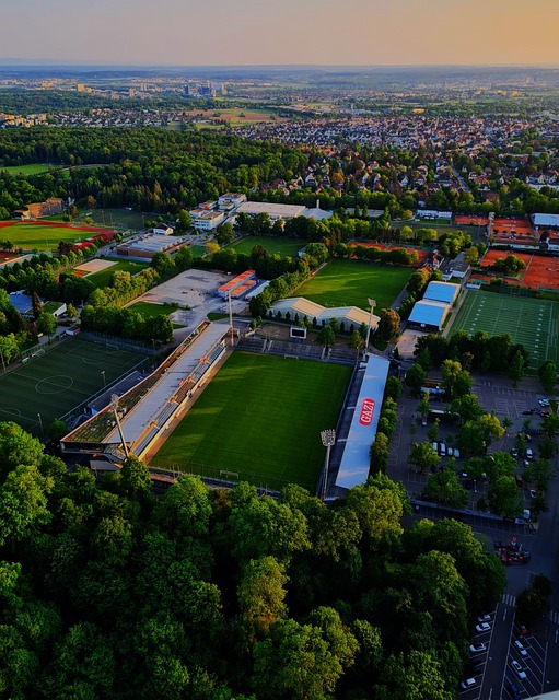 似乎具备成 似乎具备成