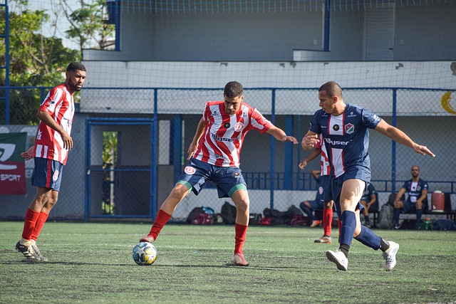 这两项成为 这两项成为