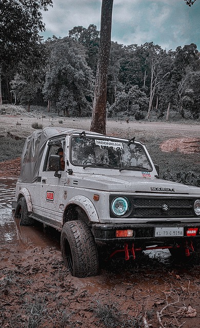 塞罗那效力 塞罗那效力