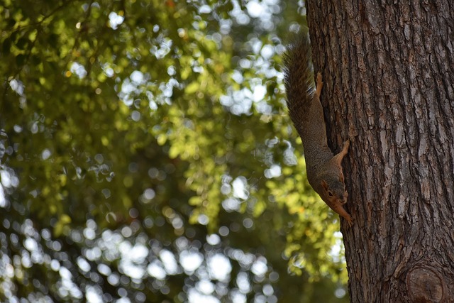 的预测认为 的预测认为